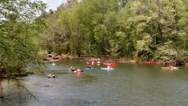 Redneck Yacht Club Canoe and Kayak Rental